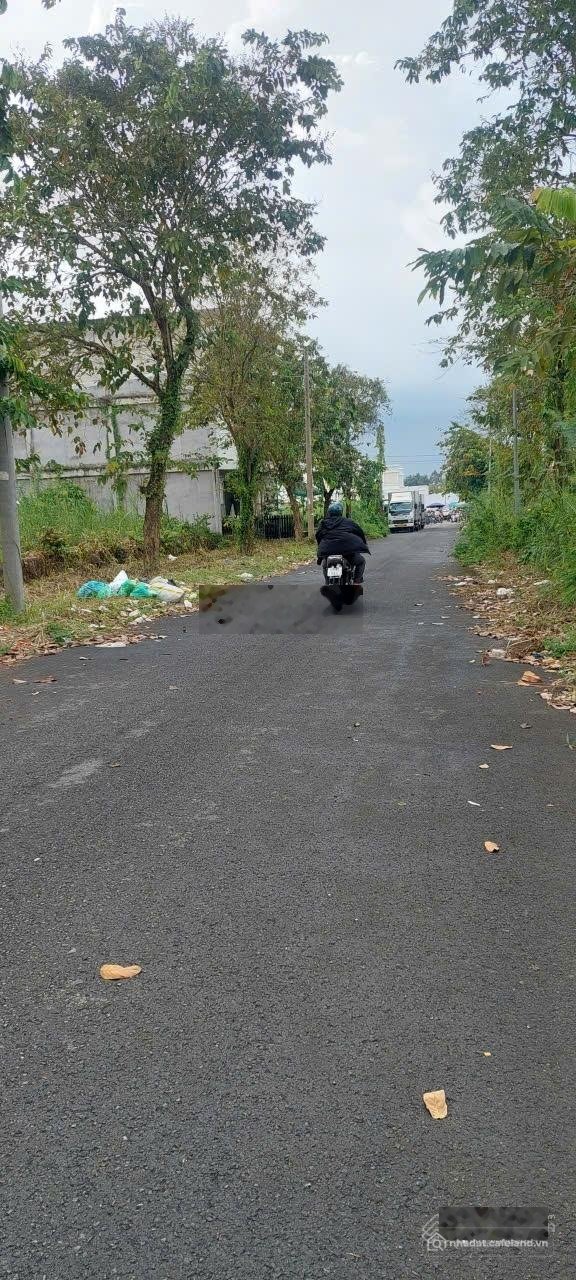 Bán đất thổ cư: Nền đường cổng chợ lộ 14m tại khu công nghiệp Bình Minh (ngay cầ
