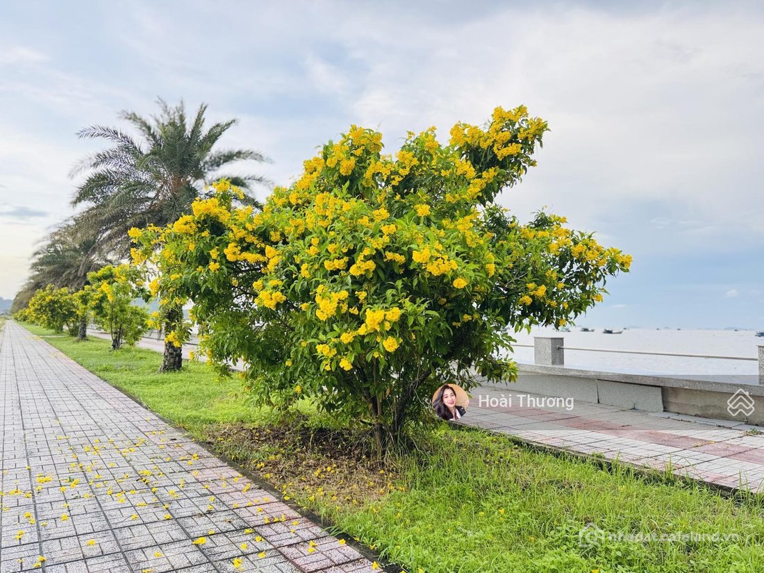 Bán đất thổ cư: Đất biệt thự biển Hà Tiên có sổ mua trực tiếp chủ đầu tư nền áp 