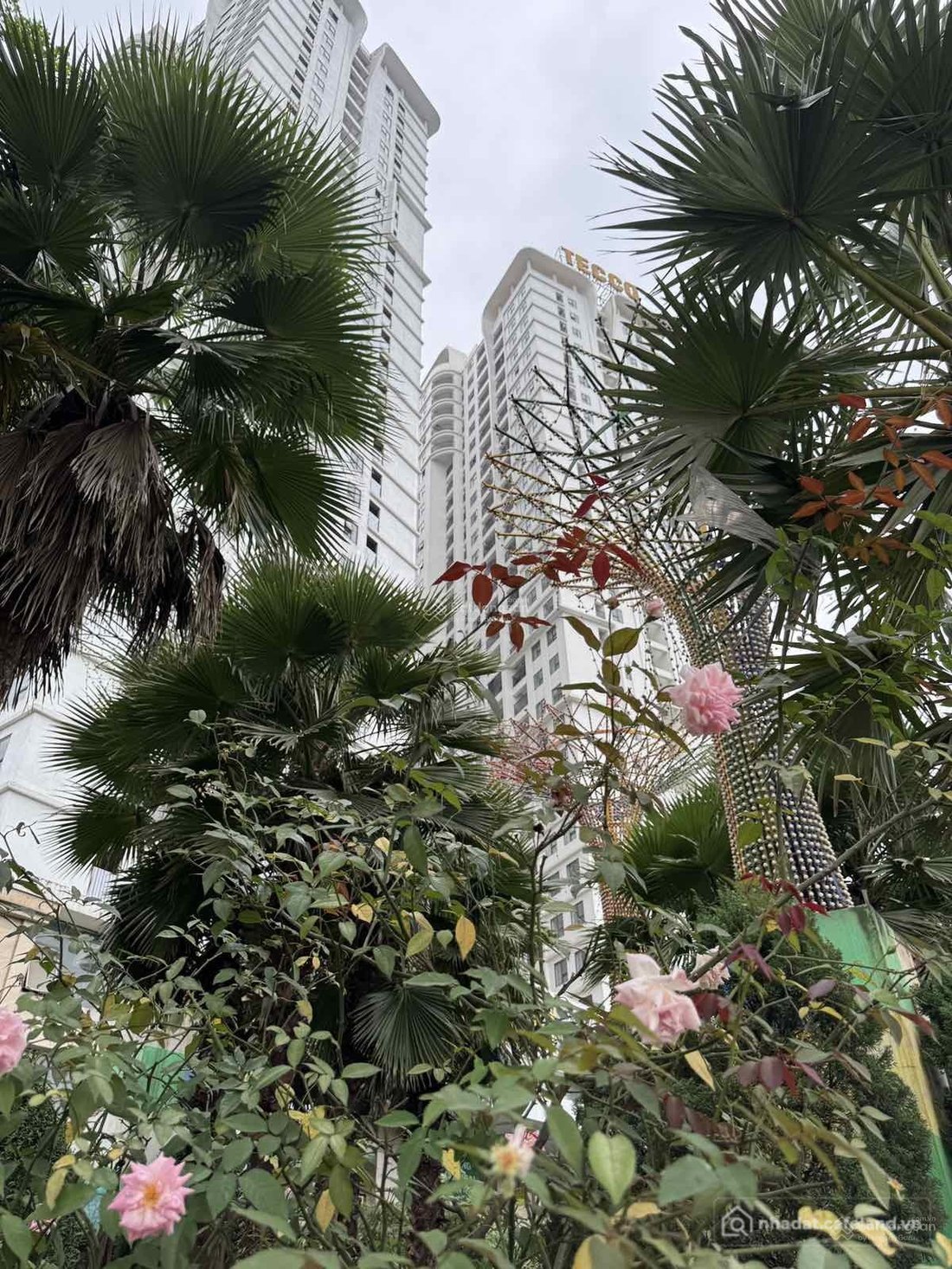 Căn hộ chung cư: Thanh toán 50% nhận nhà ngay tại chung cư Tecco Elite City Thái