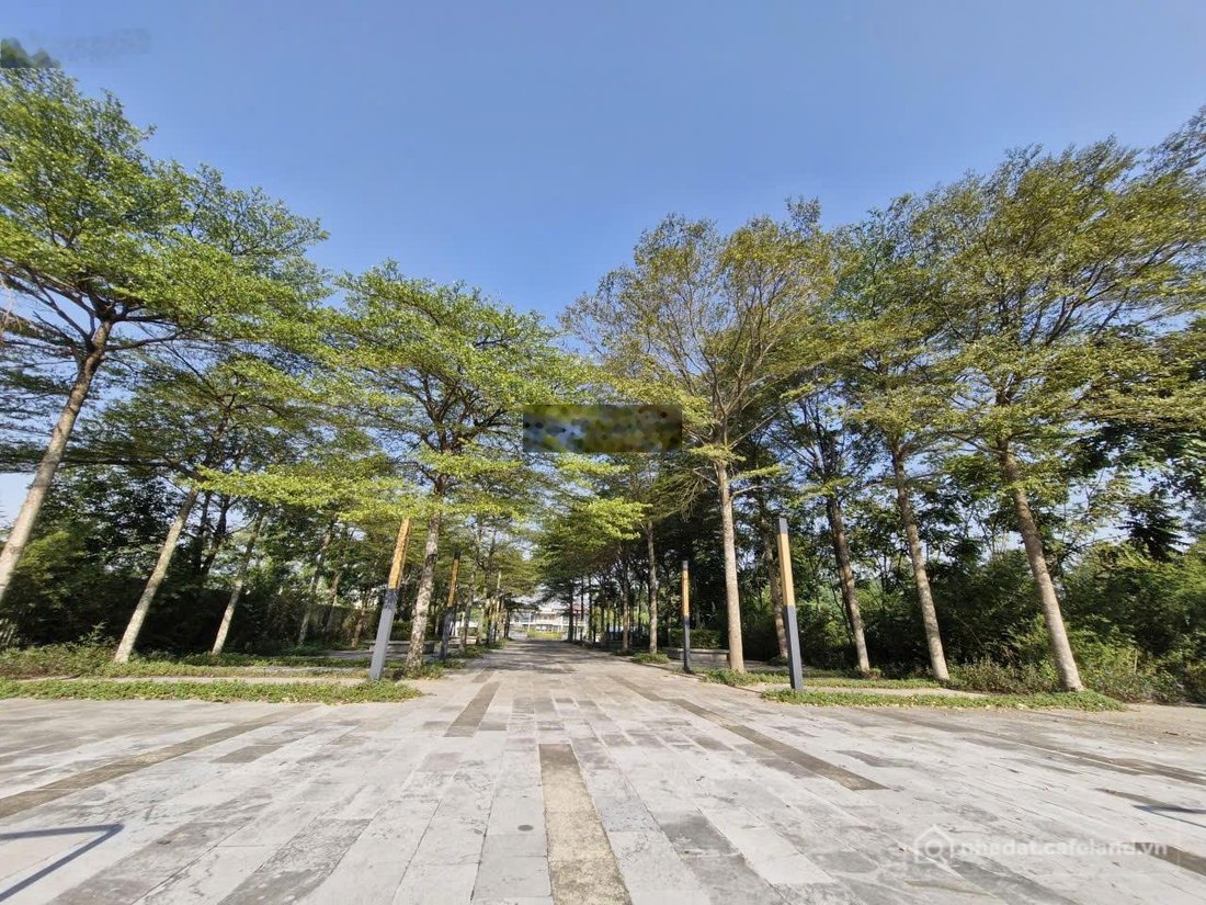 Căn hộ chung cư: [SỐC] Chính chủ Cho thuê gấp Canal Park Tiện ích 5 sao, giá "rẻ