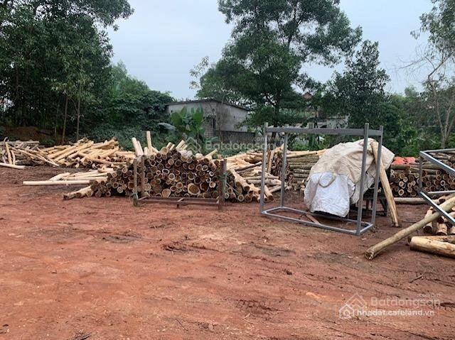 Nhà kho - Xưởng: Cho thuê đất + xưởng + kho bãi Hợp Thành Triệu Sơn (gần chợ Sim