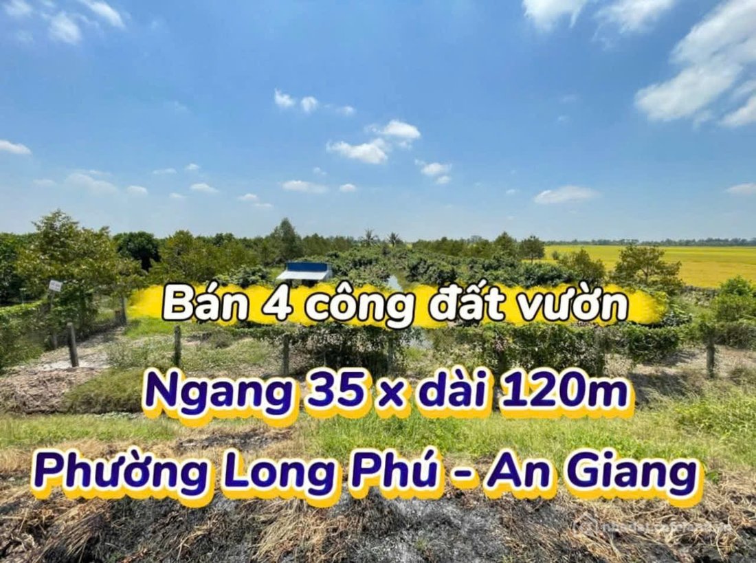 Bán căn hộ Mini, Dịch vụ: Cần bán 2 lô có quán ăn sân vườn