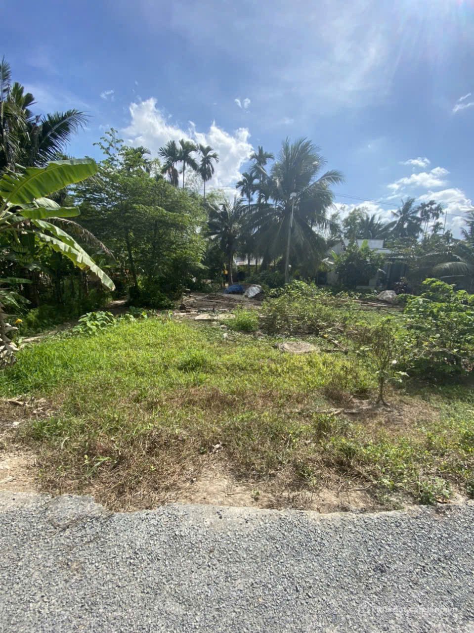 Bán đất thổ cư: BÁN ĐẤT ĐÔNG THÀNH, THỊ XÃ BÌNH MINH, TỈNH VĨNH LONG – VIEW ĐẸP,