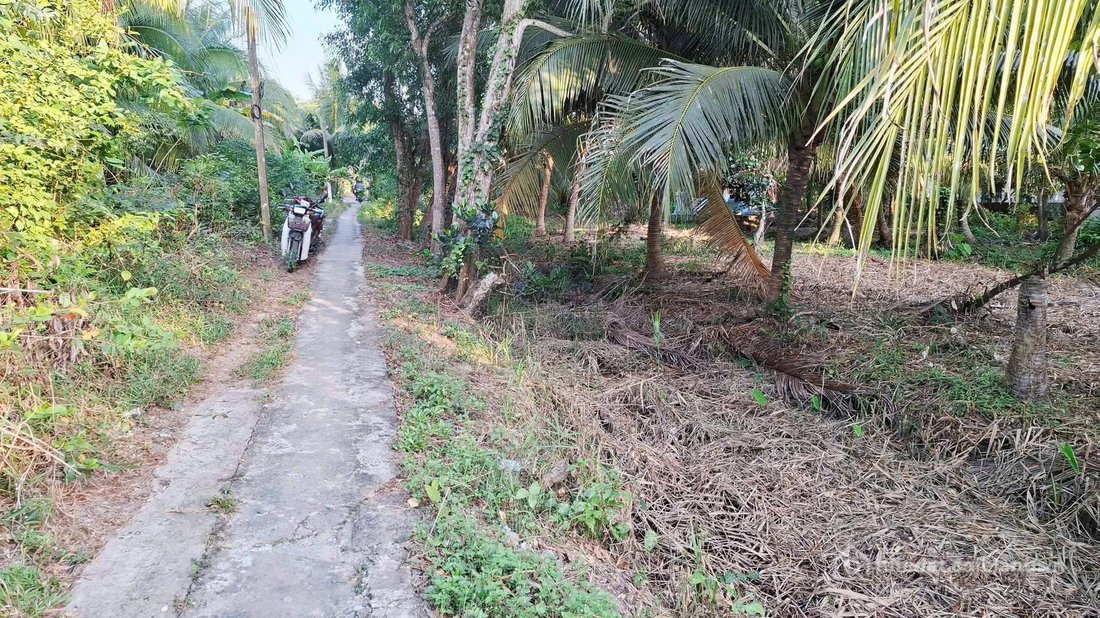 Bán đất thổ cư: CHÍNH CHỦ CẦN BÁN LÔ ĐẤT CÓ VỊ TRÍ ĐẸP TẠI PHƯỜNG PHƯỚC HẬU - TP