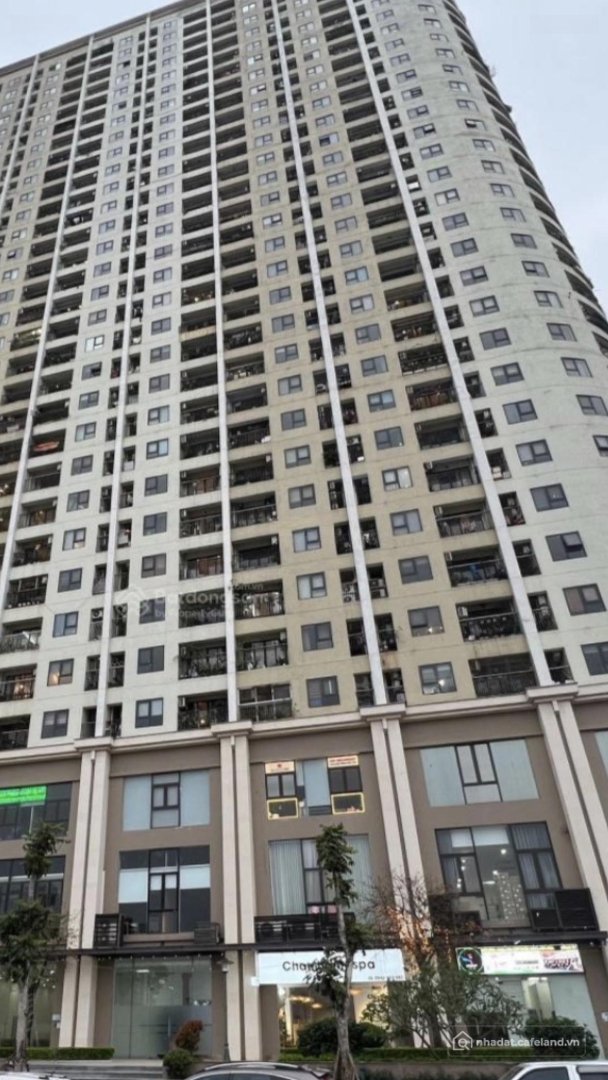 Cho thuê nhà kho - Xưởng: Cho Thuê Shophouse - đế Chung Cư Ct1 Gelexia Riverside