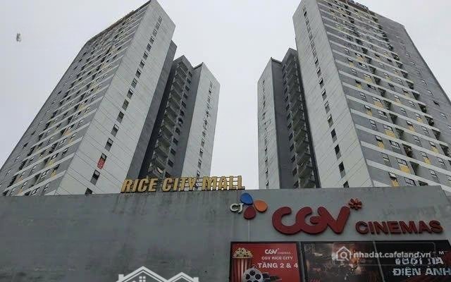 Cho thuê nhà kho - Xưởng: Bql Cho Thuê Mặt Bằng Toà Rice City Tại Khu đô Thị Lin