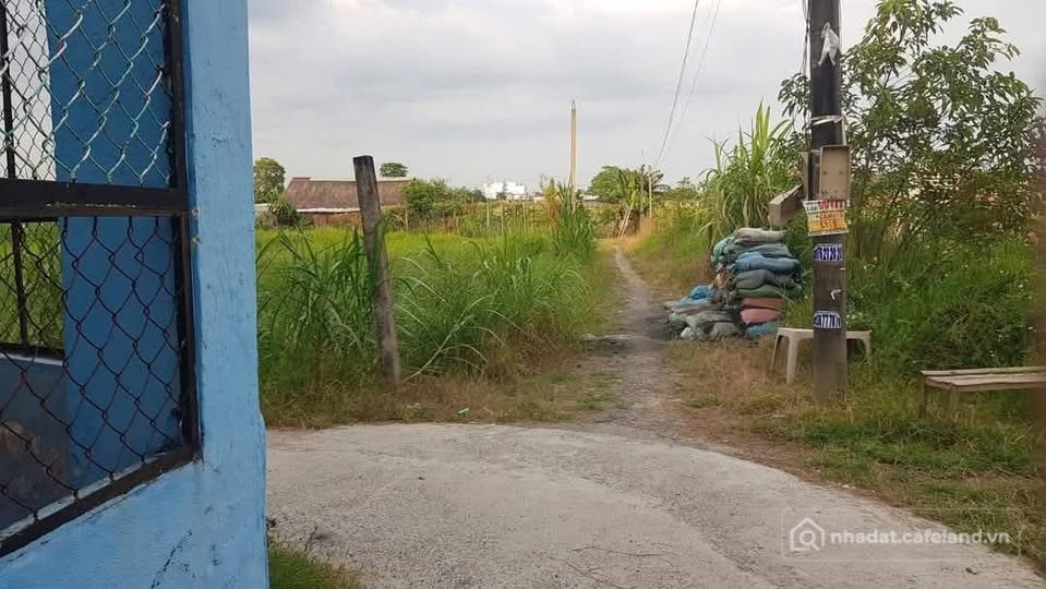 Bán đất thổ cư:  ĐẤTLỚN.COM giới thiệu gần 1.200m² đất nông nghiệp phù hợp nhà 