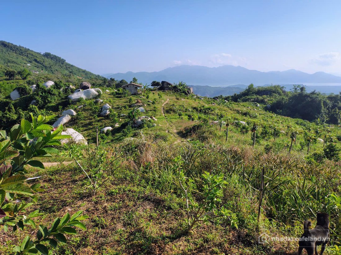 Bán đất thổ cư: Bán khu vườn view biển Bãi Dài, Cam Ranh, Khánh Hoà