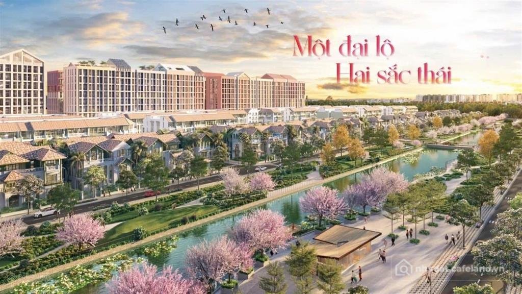 Bán nhà riêng: Flora avenue cơ hội đầu tư sinh lời bền vững tại trung tâm hà nam