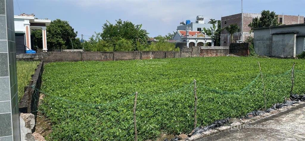 Bán đất thổ cư: Bán đất nam hải tiền hải, thái bình hưng yên.120m2 450 triệu.
