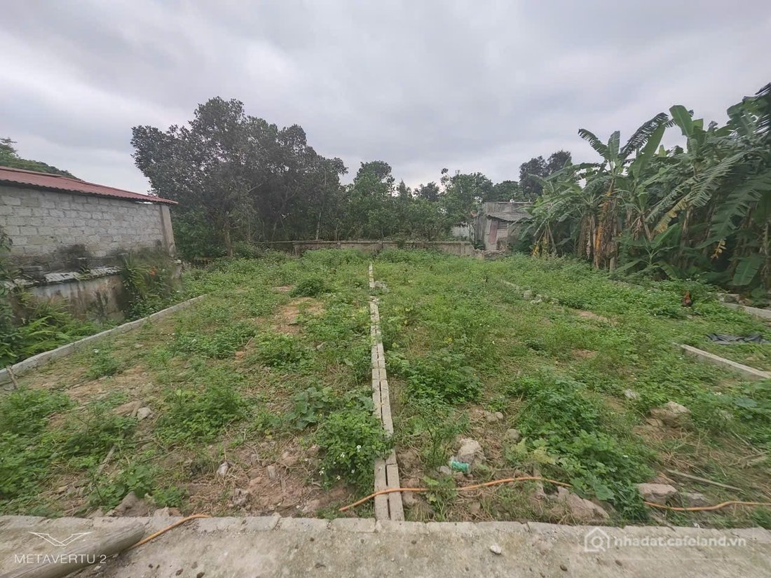 Bán đất thổ cư: ️Rẻ nhất khu công nghiệp Ân Thi 🫰dt 99.5m full thổ cư 🫰Đường 