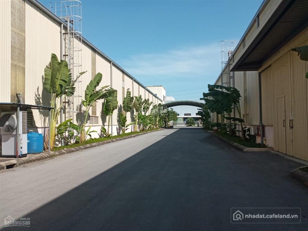 Cho thuê nhà kho - Xưởng: Cho thuê kho, xưởng khu bình giang, hải dương dt 1000m