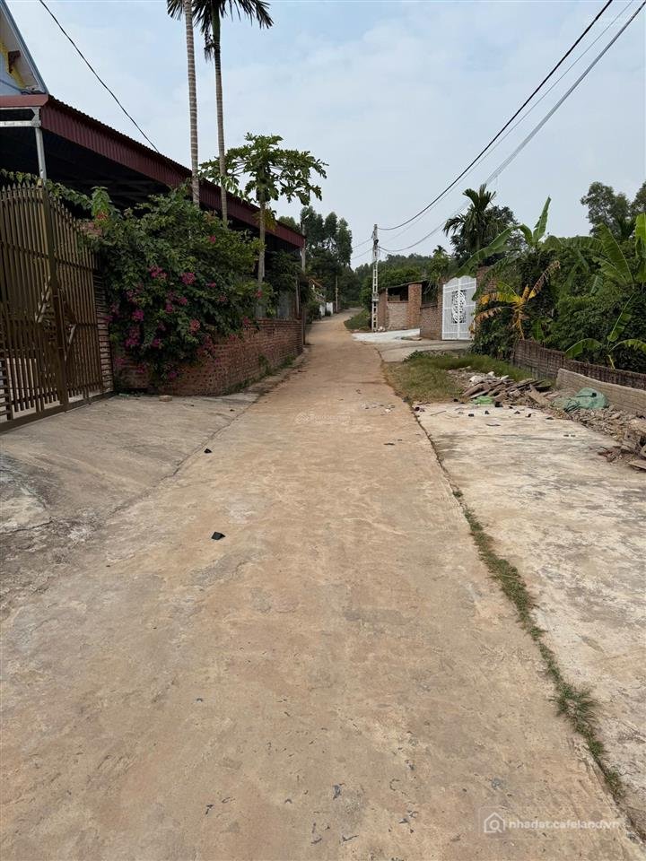 Bán đất thổ cư: Bán đất cạnh quốc lộ 37 xã cẩm lý, lục nam, bắc giang dt 168m2 m