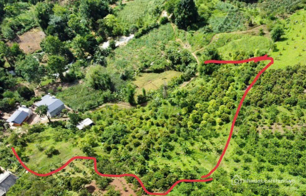 Bán đất thổ cư:  6.000m² – ĐẤT LỚN HIẾM – LÀM HOMESTAY/FARMSTAY SIÊU ĐẸP! 