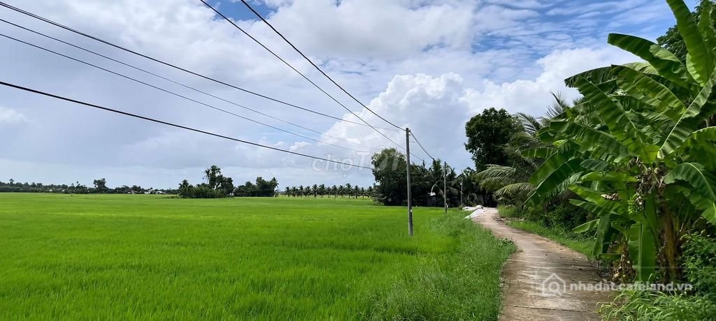 Bán đất nông, lâm nghiệp: 4000m2 đất sổ đỏ , 1,6 tỷ, đường huyện 19, giáp huyện 