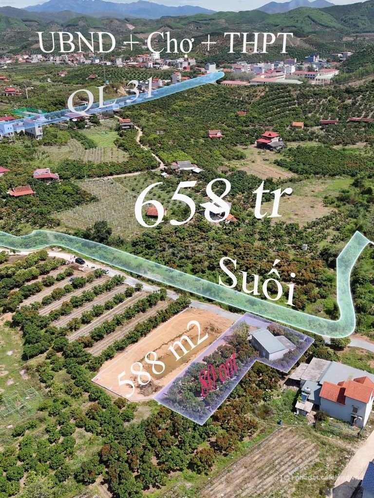Biệt thự: Nhà + Đất tại lục ngạn