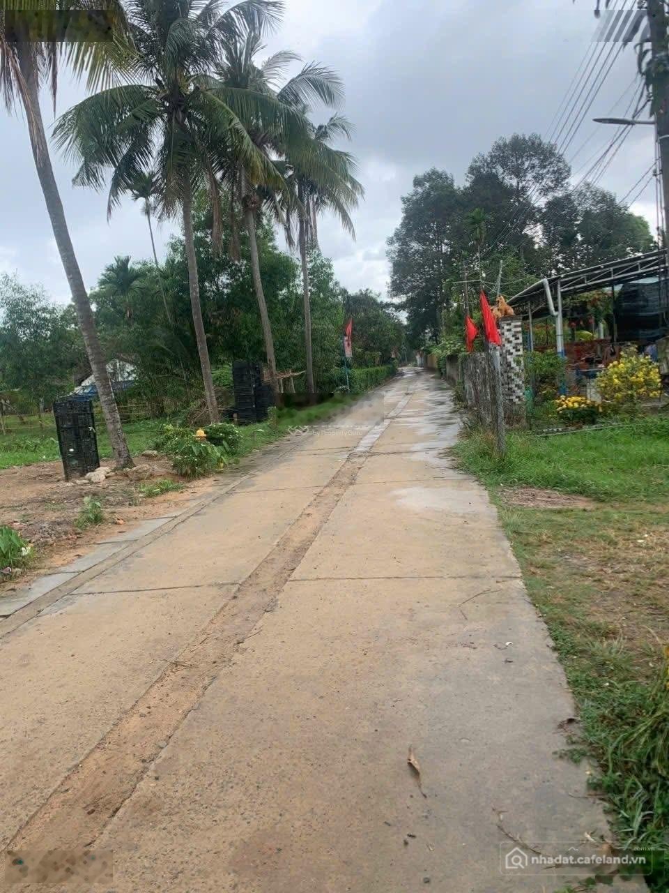 Bán đất thổ cư: Bán đất tại Hương Lộ 21, 1,5 tỷ, 113m2, Xã Tam An, Huyện Long Th