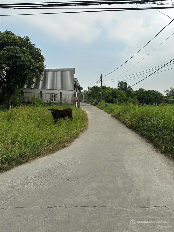 Bán đất thổ cư: Cần bán gấp 173m2 thổ cư góc 2mt xã an phú tây 3,1tỷ