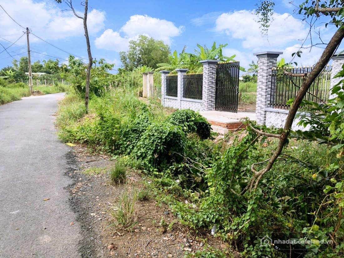 Bán đất thổ cư: CẦN BÁN 1000M2 ĐẤT VƯỜN MT ĐƯỜNG NHỰA CÓ TRẢ CÓ BÁN