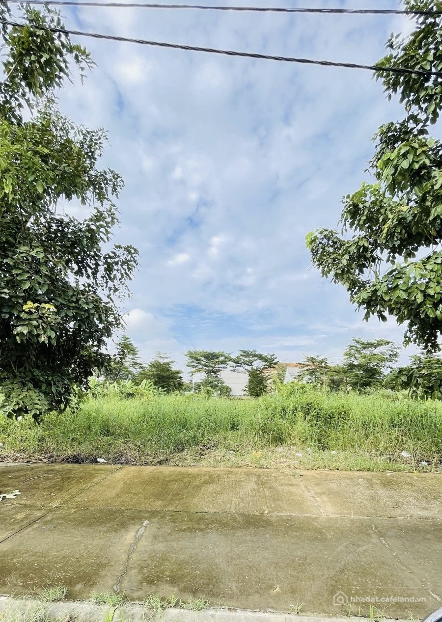 Bán đất thổ cư: BÁN LÔ ĐẤT BIỆT THỰ VIEW SÔNG – KDC PHÚ LỢI – P7 – Q8 – GẦN TRƯỜ