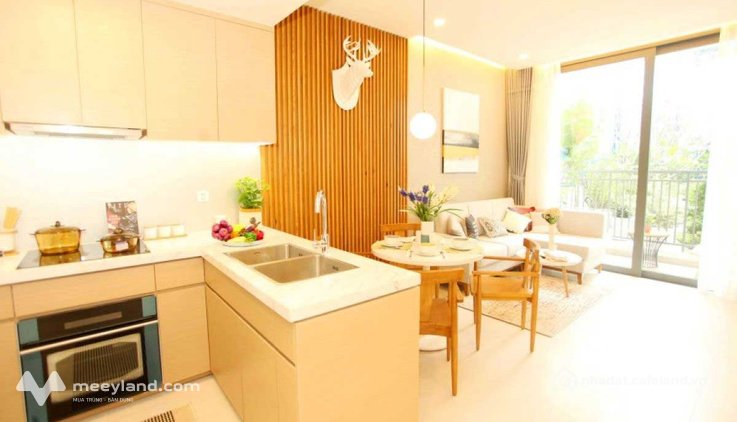 Cho thuê căn hộ chung cư: Cho thuê căn hộ D-Aqua, 7 triệu VND, 31 m2, đẹp, nhiều