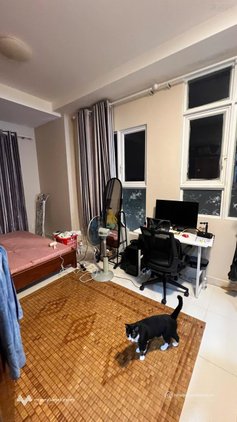 Bán căn hộ chung cư: Bán căn hộ hoa sen 2pn full nội thất sửa đẹp có sổ hồng