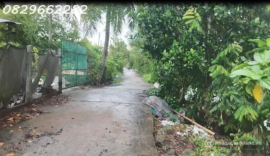 Bán đất thổ cư: Bán Đất Sa Đéc 120m2 Đường Bà Lài, Sổ Hồng Hướng Đông Nam Chỉ 56