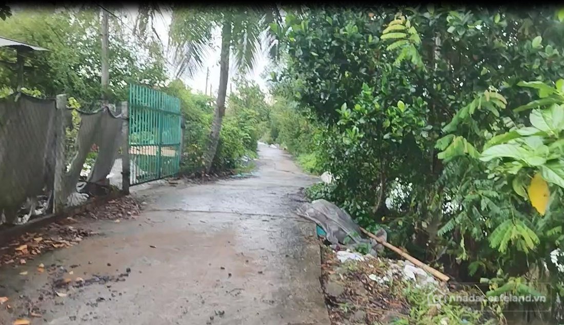Bán đất thổ cư: Bán Đất Thổ Cư 120m2 Đường Bà Lài, Tân Dương, Đồng Tháp. Sổ Hồng