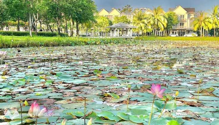 Bán nhà riêng: Bán nhanh căn nhà phố Park Riverside hoàn thiện đã có sổ giá 9.9t