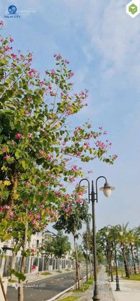 Bán nhà riêng: Bán gấp cắt lỗ nhà phố Palm City - Ngay nút giao Cao tốc-VĐ3 - sổ