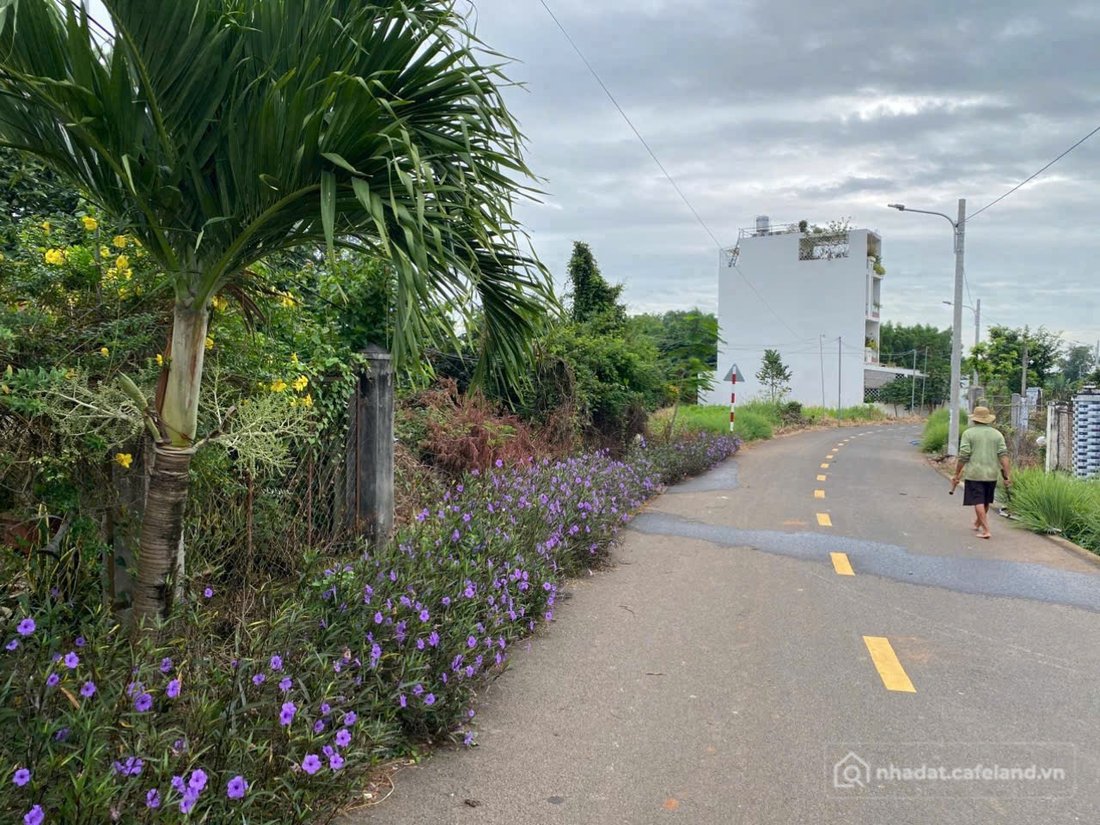 Bán đất thổ cư: Đất đẹp Phước Thuận Hồ Tràm Chỉ 10Tỷ - Giá tốt cho nhà đầu tư
