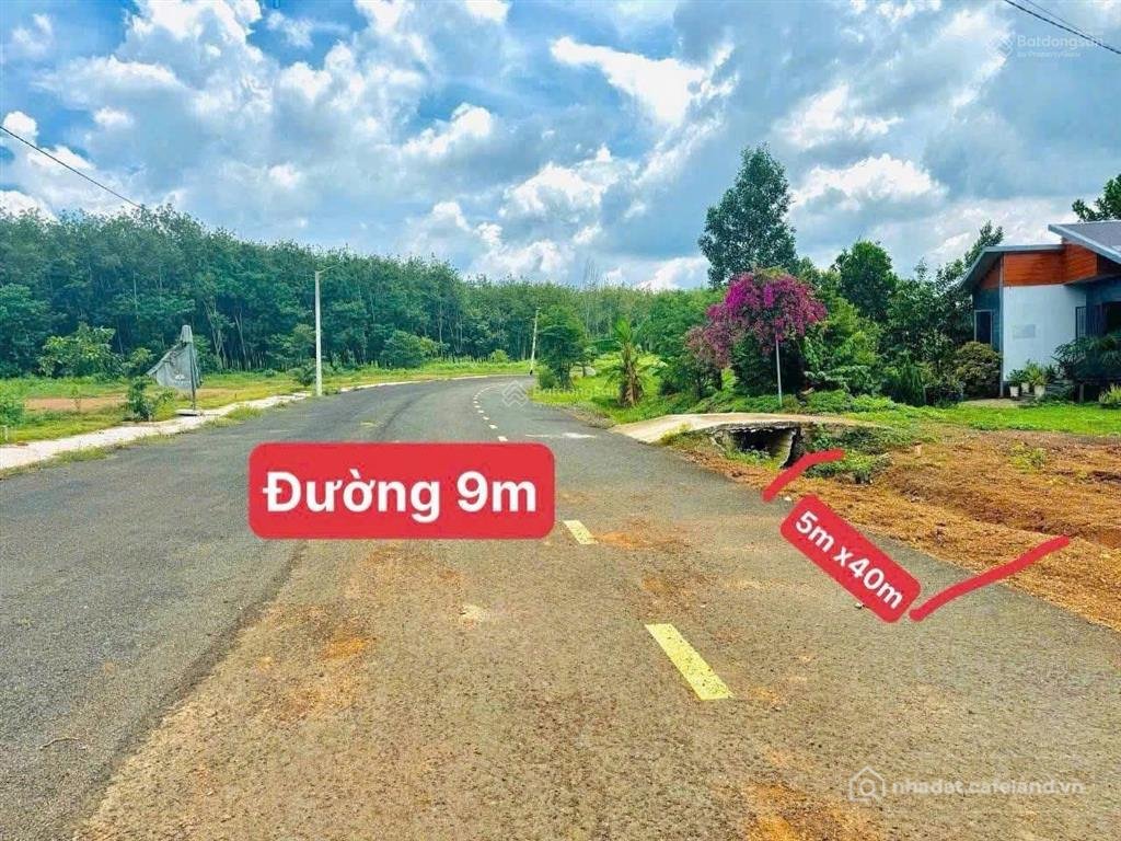 Bán đất thổ cư: Lô đất thổ cư đồng phú gần khu công nghiệp mang lại tài lộc cho 