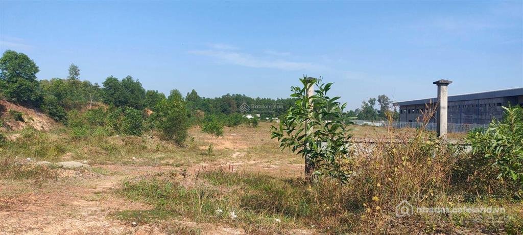 Bán đất thổ cư: Bán đất kcn bầu xéo 30.000m2. mr hưng 0918 283 ***