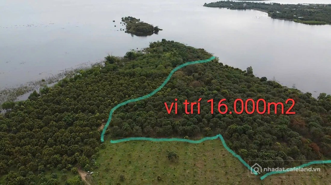 Bán đất thổ cư: 16243m2 vew sông. Có vườn cây ăn trái giá bán 9ty5.