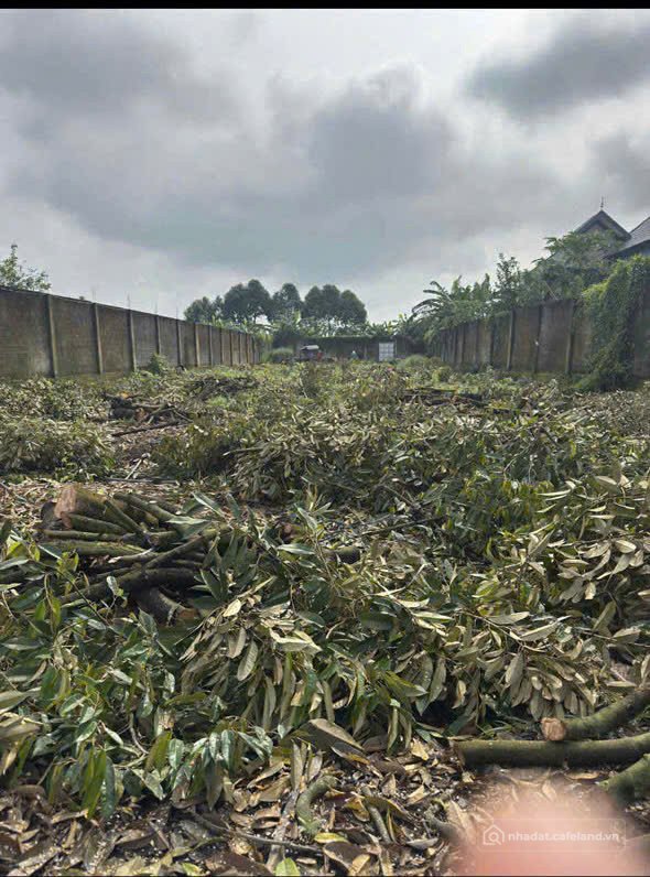 Bán đất thổ cư: Chính Chủ Bán 300m2 Đất Tại Xã Phú Bình, Huyện Tân Phú, Đồng Nai
