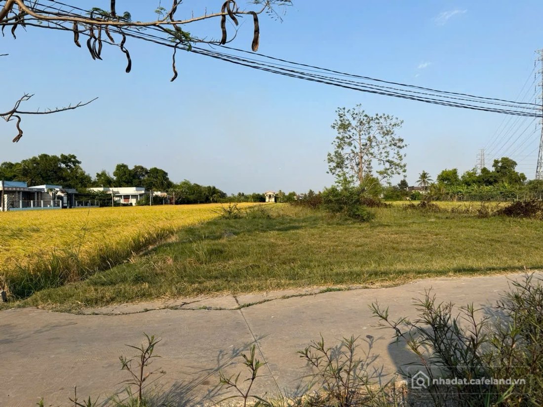 Bán đất thổ cư: Nền thổ cư 160m2 (4x40) MT đường ấp Xóm Mới, Tân Lân, Cần Đước, 