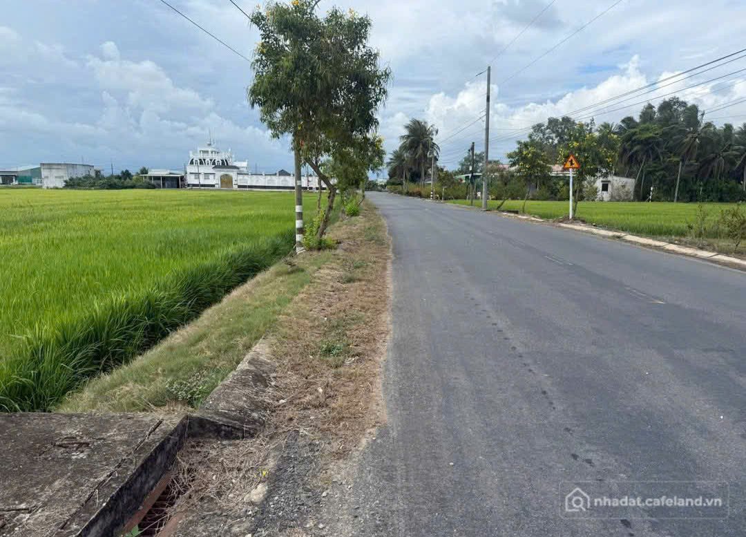 Bán đất thổ cư: Bán đất mặt tiền Cao Thị Mai, Bình Trinh Đông , Tân Trụ dt 440,8