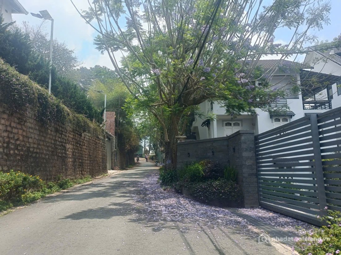Bán đất thổ cư: 11,5 Tỷ Bán ĐẤT THỔ CƯ ĐƯỜNG KHE SANH, PHƯỜNG 10, TP. ĐÀ LẠT
