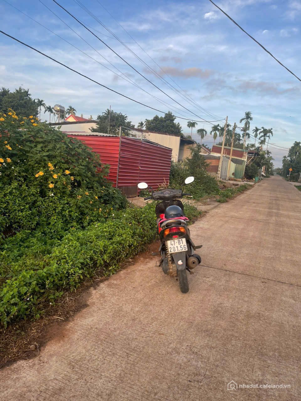 Bán đất thổ cư: BÁN ĐẤT HOÀ THUẬN ĐẠT LÝ PHƯỜNG TÂN AN