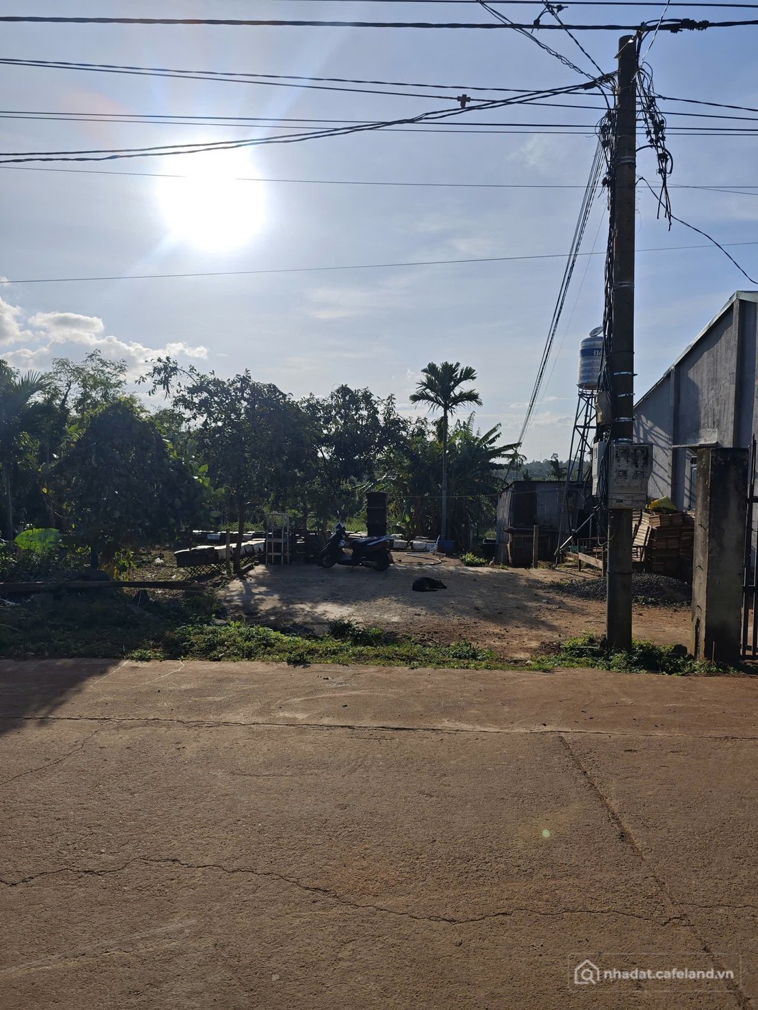 Bán đất thổ cư: Bán lô đứa mắt tiền đẹp ngay chợ tân hòa khu dân cư đông đúc diệ
