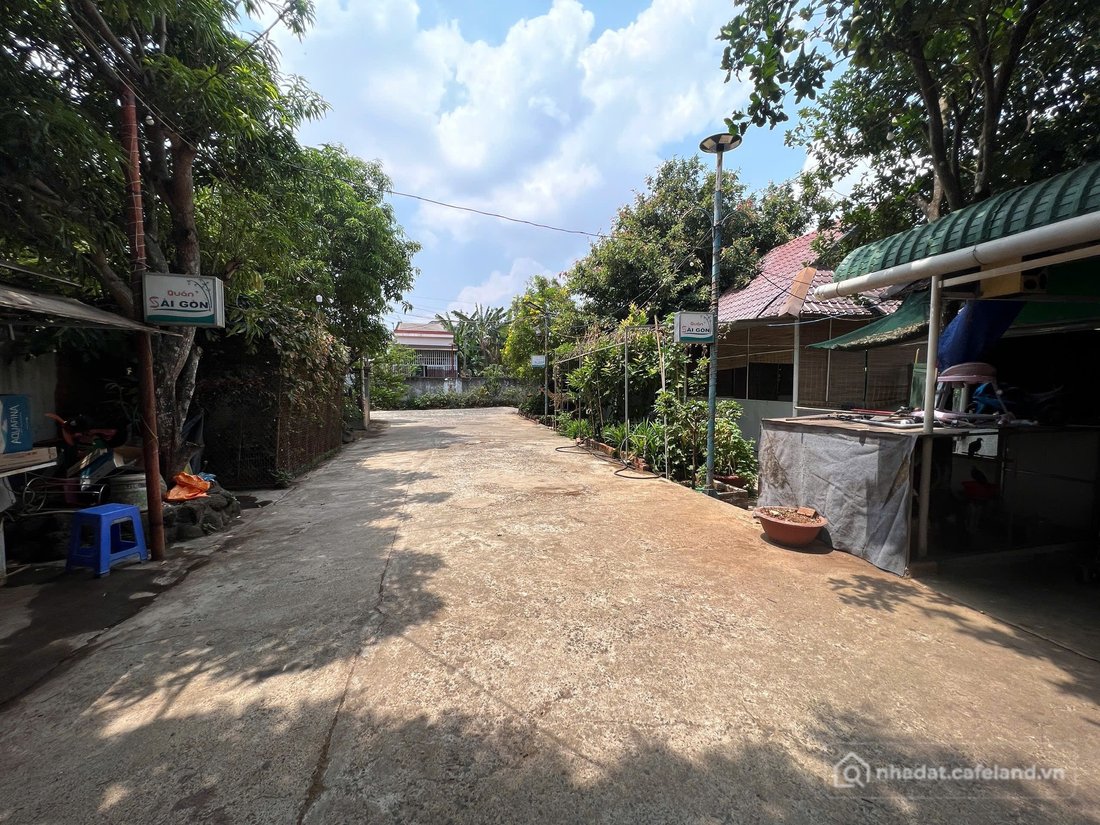 Bán đất thổ cư: Mặt Tiền Nguyễn Tri Phương, diện tích khủng. 4sào6 , 23tỷ