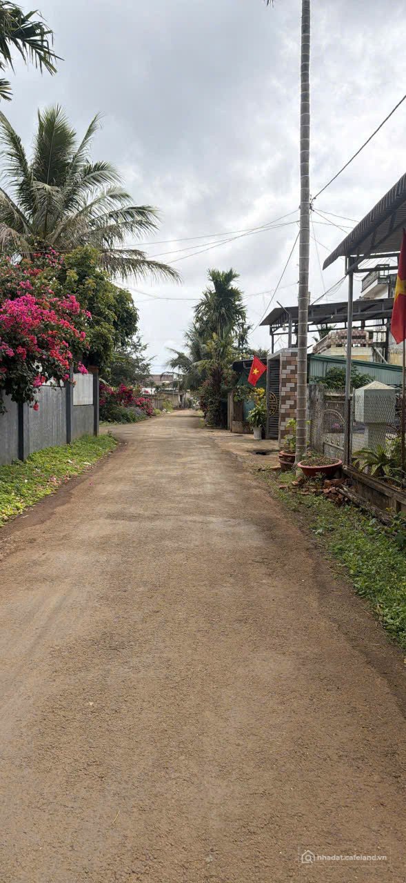 Bán đất thổ cư: ĐẤT HẺM 232 NGUYỄN THÁI BÌNH