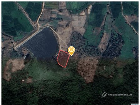 Bán đất thổ cư: Bán đất 1596.7m² 290 triệu tại Xã Hòa Sơn Huyện Krông Bông