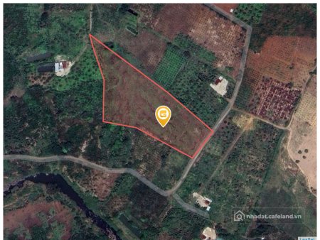 Bán đất thổ cư: Bán đất 13031.7m² ngang 48m giá 1.98 tỷ tại Xã Phú Lộc Huyện Krô
