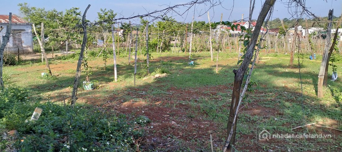 Bán đất thổ cư: Bán đất chính chủ phường Buôn Hồ mới