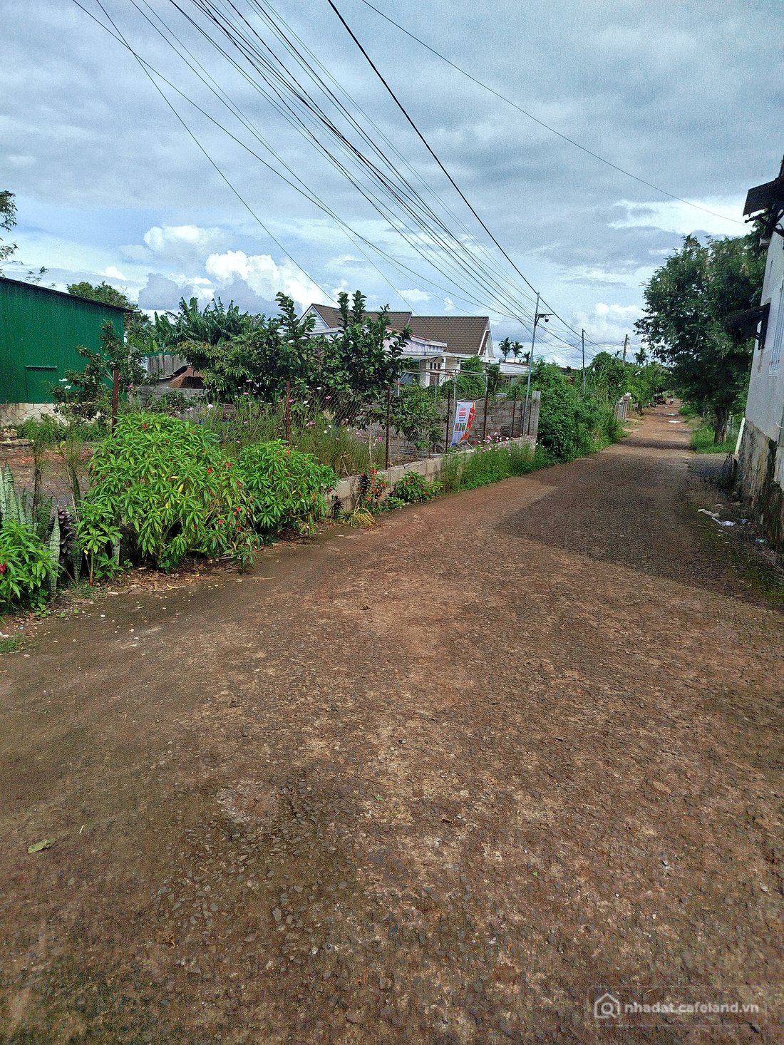 Bán đất thổ cư: Đât bình tân