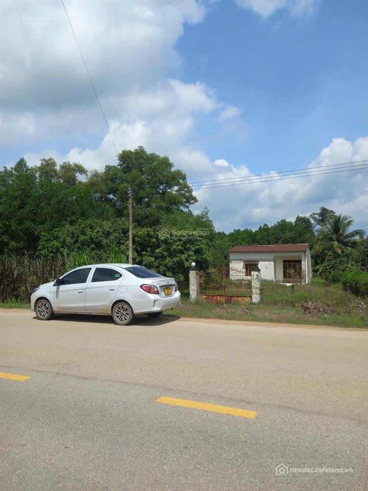 Bán đất thổ cư: Định cư cần bán hơn 1,1ha đất mặt tiền ql55