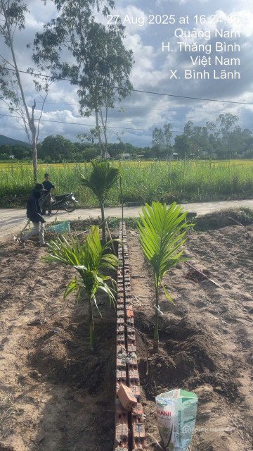 Bán đất thổ cư: Bán lô đất đẹp Đồng Dương, Thăng Bình, ngang 12, giá 980 triệu t
