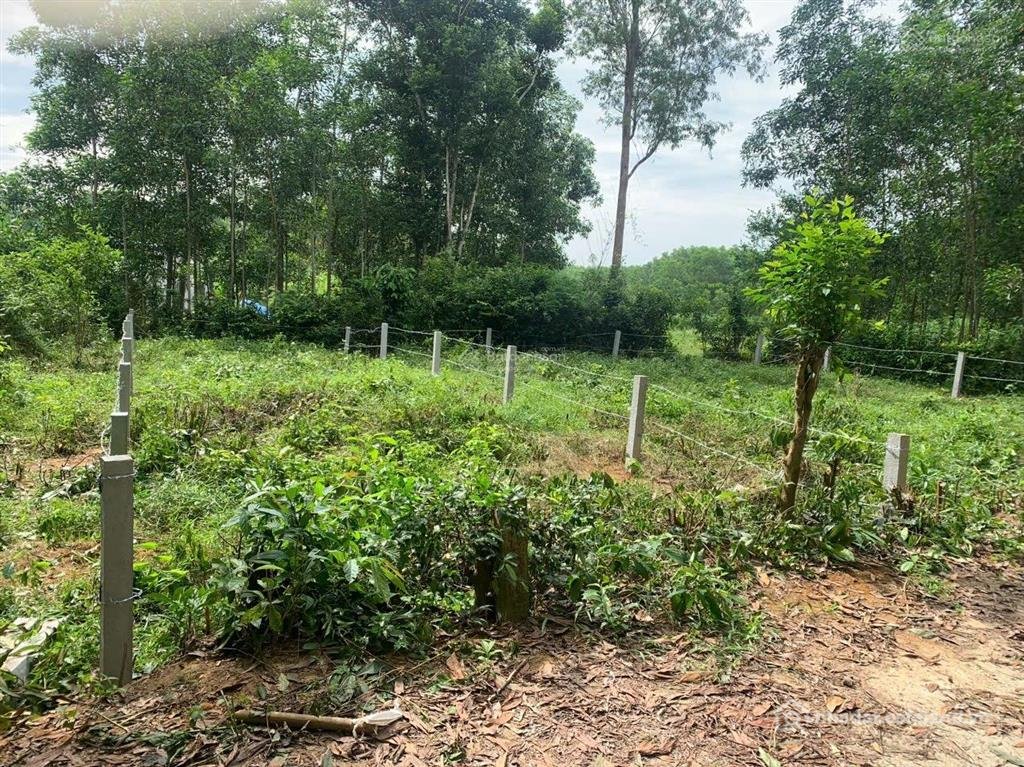 Bán đất thổ cư: Lô đất bình định bắc thuộc khu dân cư gần nhà dân. gần đường lớn