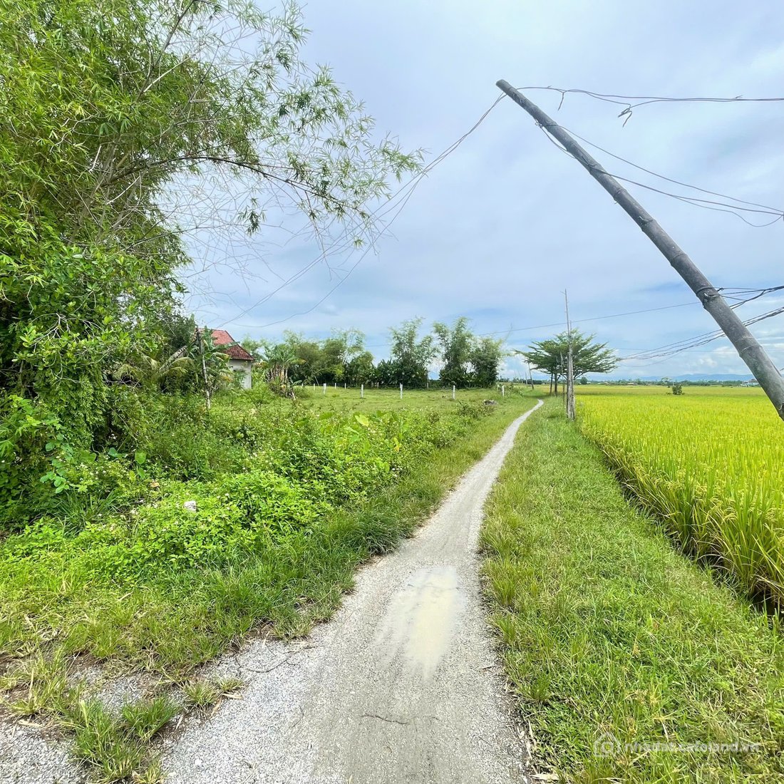 Bán đất thổ cư: Bán lô đất đẹp chính chủ: Đồng Dương, Thăng Bình, Đà Nẵng giá mề